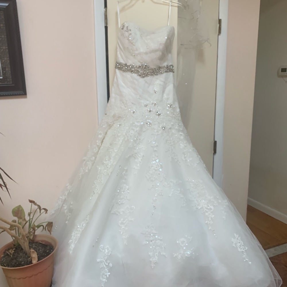 Wedding Dress / vail